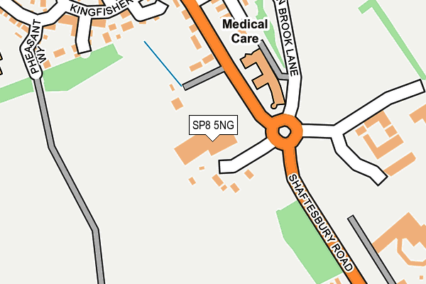 SP8 5NG map - OS OpenMap – Local (Ordnance Survey) SP8 5NG map - OS OpenMap – Local (Ordnance Survey)