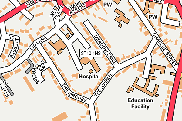ST10 1NS map - OS OpenMap – Local (Ordnance Survey) ST10 1NS map - OS OpenMap – Local (Ordnance Survey)