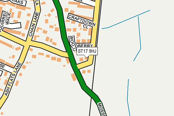 ST17 9HJ map - OS OpenMap – Local (Ordnance Survey) ST17 9HJ map - OS OpenMap – Local (Ordnance Survey)