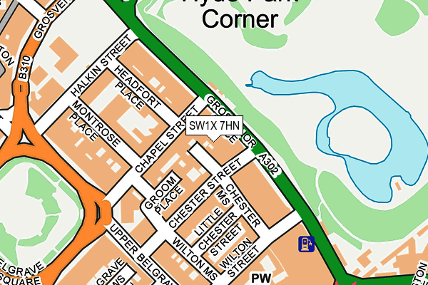 SW1X 7HN map - OS OpenMap – Local (Ordnance Survey)