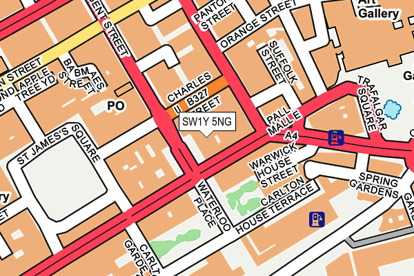 SW1Y 5NG map - OS OpenMap – Local (Ordnance Survey)