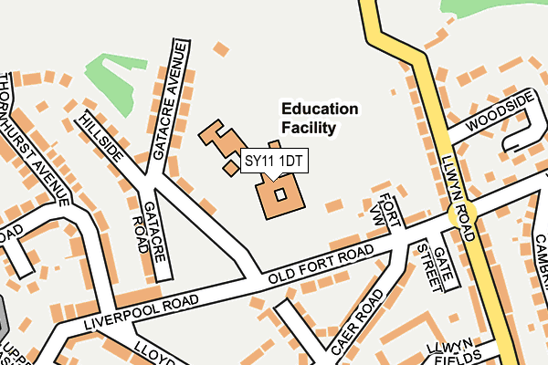 SY11 1DT map - OS OpenMap – Local (Ordnance Survey) SY11 1DT map - OS OpenMap – Local (Ordnance Survey)