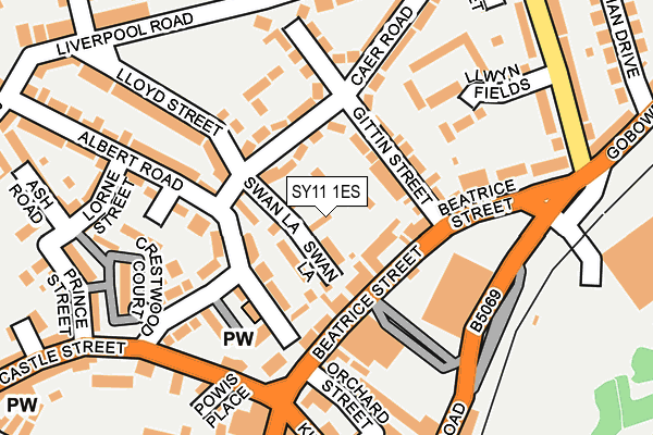 SY11 1ES map - OS OpenMap – Local (Ordnance Survey) SY11 1ES map - OS OpenMap – Local (Ordnance Survey)