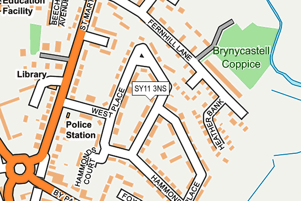 SY11 3NS map - OS OpenMap – Local (Ordnance Survey) SY11 3NS map - OS OpenMap – Local (Ordnance Survey)