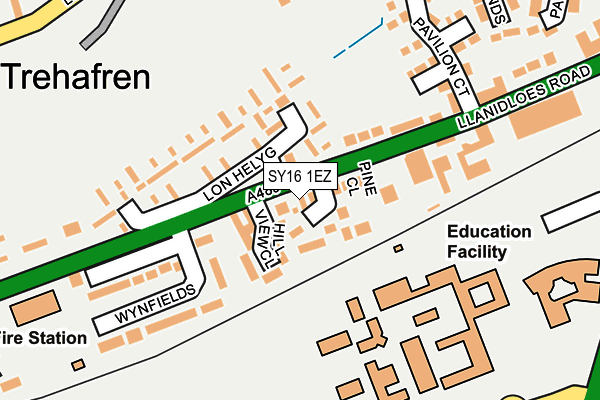 SY16 1EZ map - OS OpenMap – Local (Ordnance Survey)