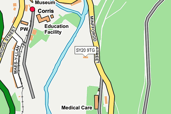 SY20 9TG map - OS OpenMap – Local (Ordnance Survey) SY20 9TG map - OS OpenMap – Local (Ordnance Survey)
