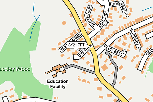 SY21 7PT map - OS OpenMap – Local (Ordnance Survey) SY21 7PT map - OS OpenMap – Local (Ordnance Survey)