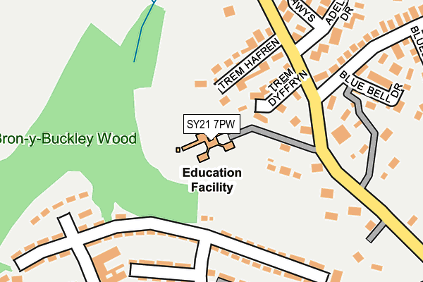 SY21 7PW map - OS OpenMap – Local (Ordnance Survey)