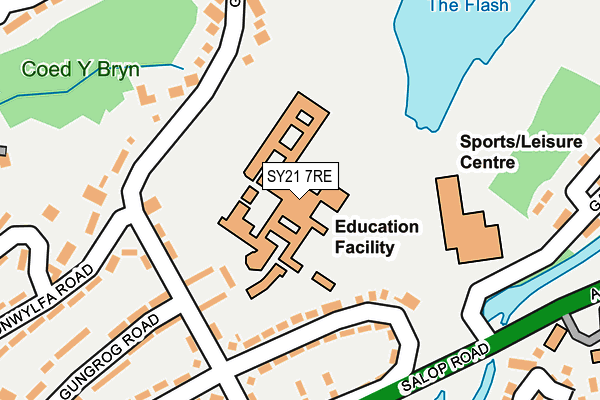 SY21 7RE map - OS OpenMap – Local (Ordnance Survey)