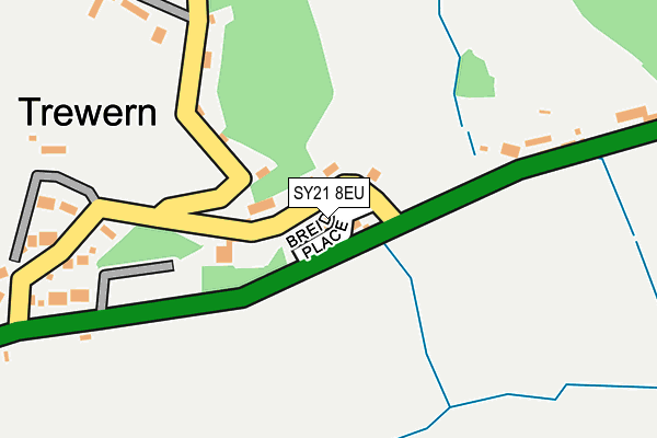SY21 8EU map - OS OpenMap – Local (Ordnance Survey)