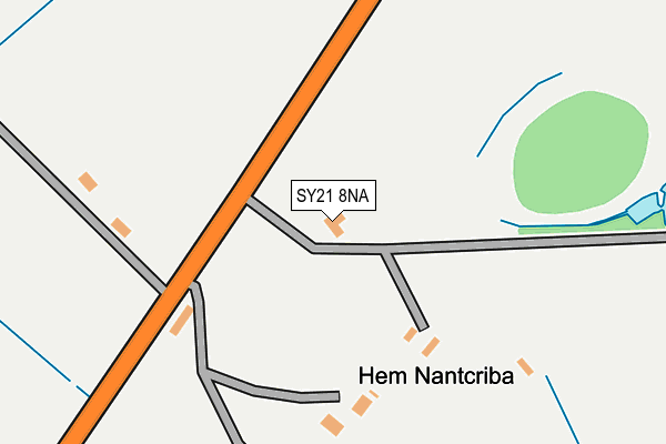 SY21 8NA map - OS OpenMap – Local (Ordnance Survey)