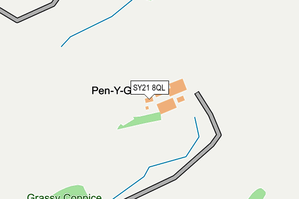 SY21 8QL map - OS OpenMap – Local (Ordnance Survey) SY21 8QL map - OS OpenMap – Local (Ordnance Survey)
