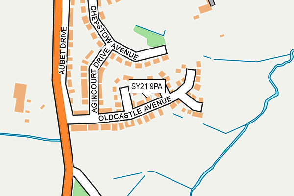 SY21 9PA map - OS OpenMap – Local (Ordnance Survey) SY21 9PA map - OS OpenMap – Local (Ordnance Survey)
