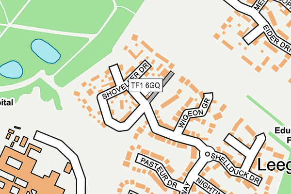 TF1 6GQ map - OS OpenMap – Local (Ordnance Survey) TF1 6GQ map - OS OpenMap – Local (Ordnance Survey)