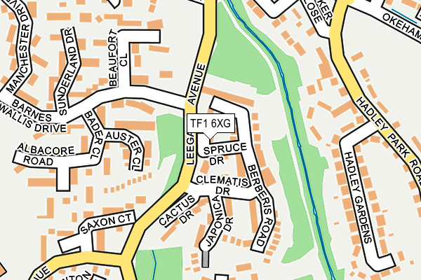 TF1 6XG map - OS OpenMap – Local (Ordnance Survey) TF1 6XG map - OS OpenMap – Local (Ordnance Survey)