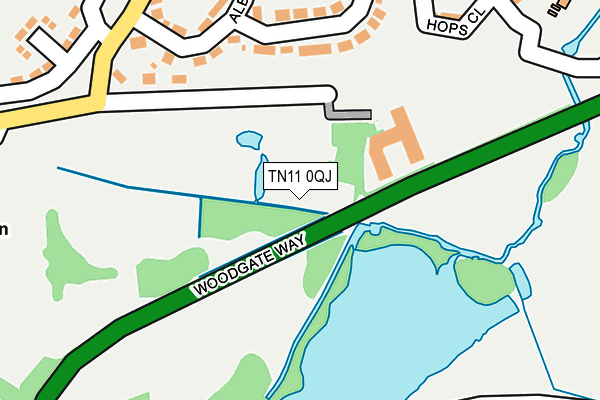 TN11 0QJ map - OS OpenMap – Local (Ordnance Survey) TN11 0QJ map - OS OpenMap – Local (Ordnance Survey)