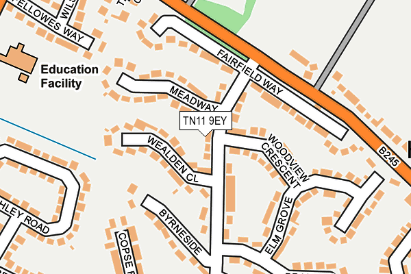 TN11 9EY map - OS OpenMap – Local (Ordnance Survey) TN11 9EY map - OS OpenMap – Local (Ordnance Survey)