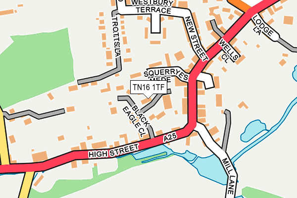 TN16 1TF map - OS OpenMap – Local (Ordnance Survey) TN16 1TF map - OS OpenMap – Local (Ordnance Survey)