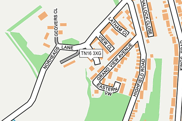 TN16 3XG map - OS OpenMap – Local (Ordnance Survey) TN16 3XG map - OS OpenMap – Local (Ordnance Survey)