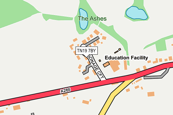 TN19 7BY map - OS OpenMap – Local (Ordnance Survey) TN19 7BY map - OS OpenMap – Local (Ordnance Survey)