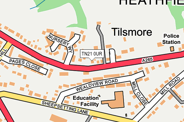 TN21 0UR map - OS OpenMap – Local (Ordnance Survey) TN21 0UR map - OS OpenMap – Local (Ordnance Survey)