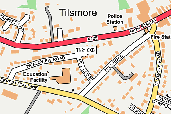 TN21 0XB map - OS OpenMap – Local (Ordnance Survey) TN21 0XB map - OS OpenMap – Local (Ordnance Survey)