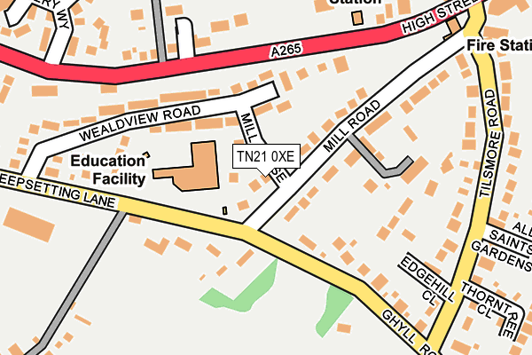 TN21 0XE map - OS OpenMap – Local (Ordnance Survey) TN21 0XE map - OS OpenMap – Local (Ordnance Survey)