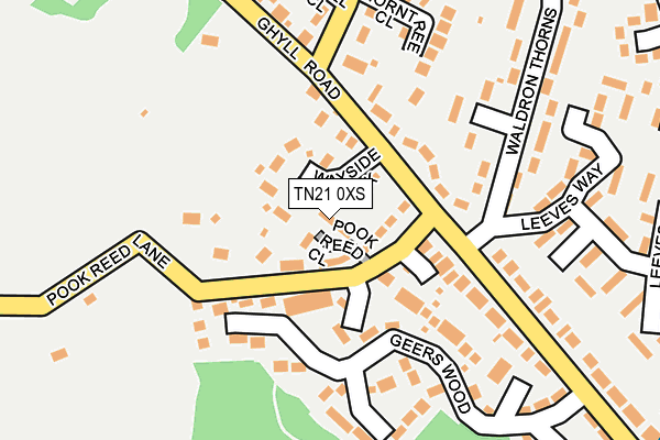 TN21 0XS map - OS OpenMap – Local (Ordnance Survey) TN21 0XS map - OS OpenMap – Local (Ordnance Survey)