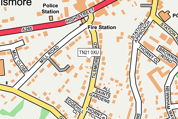TN21 0XU map - OS OpenMap – Local (Ordnance Survey) TN21 0XU map - OS OpenMap – Local (Ordnance Survey)