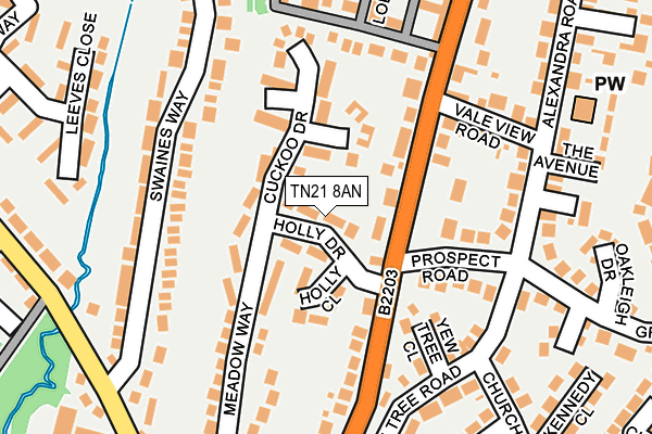 TN21 8AN map - OS OpenMap – Local (Ordnance Survey) TN21 8AN map - OS OpenMap – Local (Ordnance Survey)
