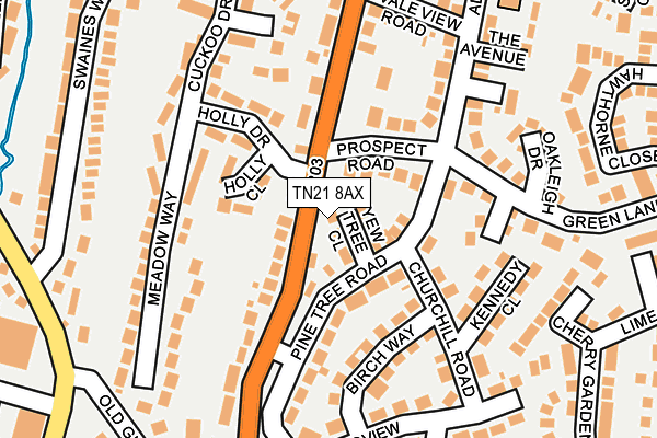 TN21 8AX map - OS OpenMap – Local (Ordnance Survey) TN21 8AX map - OS OpenMap – Local (Ordnance Survey)