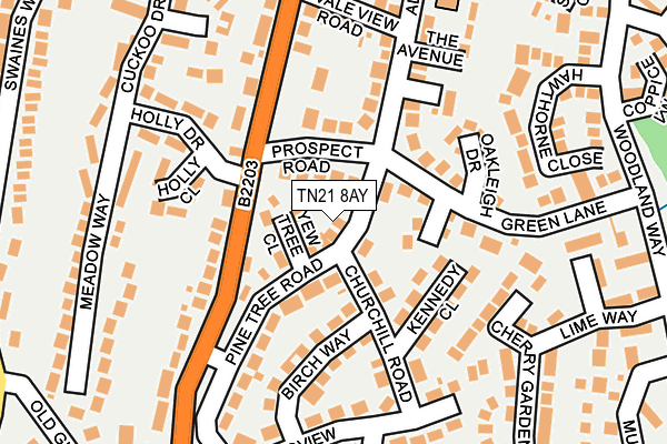 TN21 8AY map - OS OpenMap – Local (Ordnance Survey) TN21 8AY map - OS OpenMap – Local (Ordnance Survey)