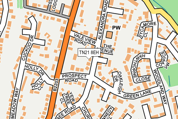 TN21 8EH map - OS OpenMap – Local (Ordnance Survey) TN21 8EH map - OS OpenMap – Local (Ordnance Survey)