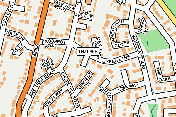 TN21 8EP map - OS OpenMap – Local (Ordnance Survey) TN21 8EP map - OS OpenMap – Local (Ordnance Survey)