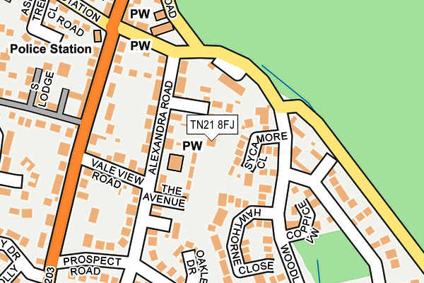TN21 8FJ map - OS OpenMap – Local (Ordnance Survey) TN21 8FJ map - OS OpenMap – Local (Ordnance Survey)