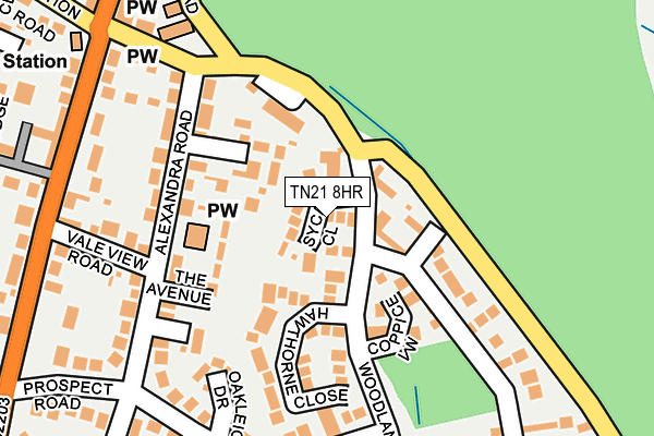 TN21 8HR map - OS OpenMap – Local (Ordnance Survey) TN21 8HR map - OS OpenMap – Local (Ordnance Survey)
