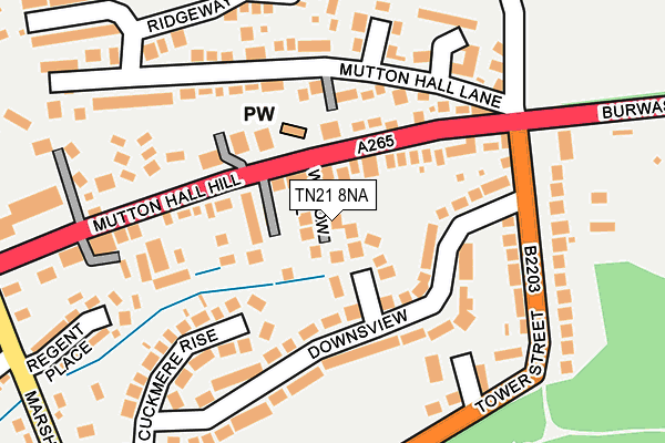 TN21 8NA map - OS OpenMap – Local (Ordnance Survey) TN21 8NA map - OS OpenMap – Local (Ordnance Survey)