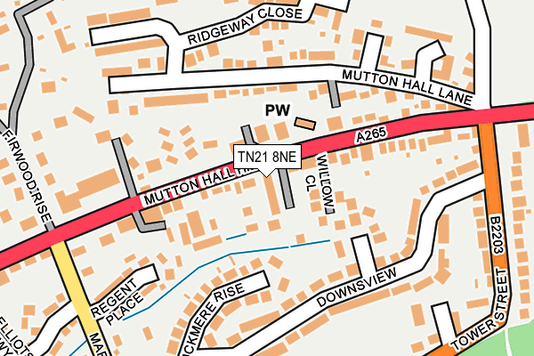 TN21 8NE map - OS OpenMap – Local (Ordnance Survey) TN21 8NE map - OS OpenMap – Local (Ordnance Survey)