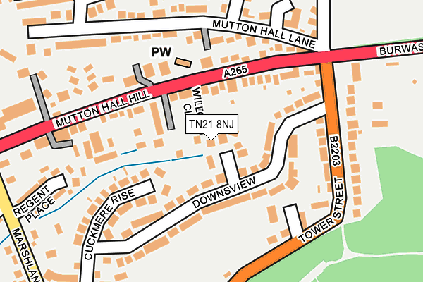 TN21 8NJ map - OS OpenMap – Local (Ordnance Survey) TN21 8NJ map - OS OpenMap – Local (Ordnance Survey)