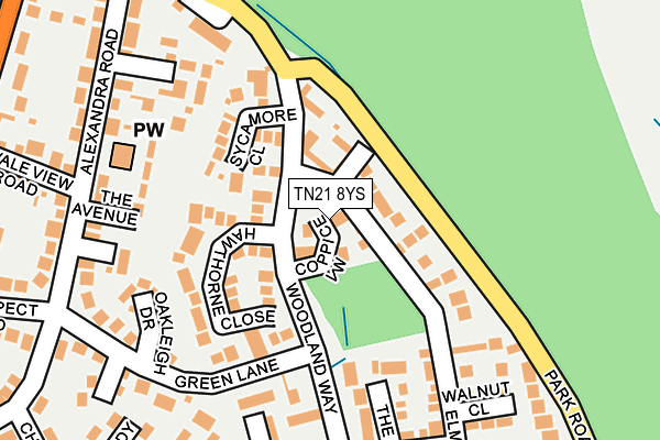 TN21 8YS map - OS OpenMap – Local (Ordnance Survey) TN21 8YS map - OS OpenMap – Local (Ordnance Survey)