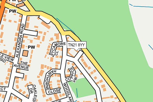 TN21 8YY map - OS OpenMap – Local (Ordnance Survey) TN21 8YY map - OS OpenMap – Local (Ordnance Survey)