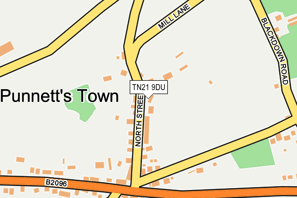 TN21 9DU map - OS OpenMap – Local (Ordnance Survey)