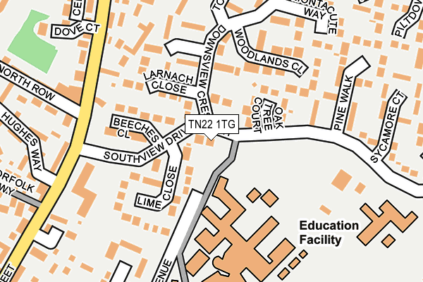 TN22 1TG map - OS OpenMap – Local (Ordnance Survey) TN22 1TG map - OS OpenMap – Local (Ordnance Survey)