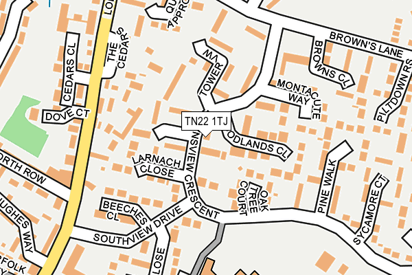 TN22 1TJ map - OS OpenMap – Local (Ordnance Survey) TN22 1TJ map - OS OpenMap – Local (Ordnance Survey)