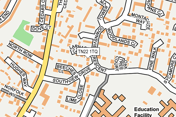 TN22 1TQ map - OS OpenMap – Local (Ordnance Survey) TN22 1TQ map - OS OpenMap – Local (Ordnance Survey)