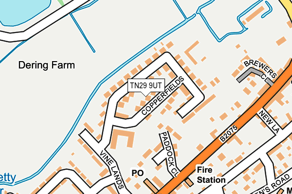TN29 9UT map - OS OpenMap – Local (Ordnance Survey) TN29 9UT map - OS OpenMap – Local (Ordnance Survey)