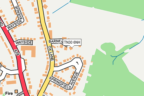 TN30 6NH map - OS OpenMap – Local (Ordnance Survey) TN30 6NH map - OS OpenMap – Local (Ordnance Survey)