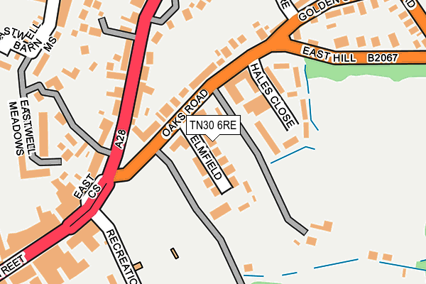 TN30 6RE map - OS OpenMap – Local (Ordnance Survey) TN30 6RE map - OS OpenMap – Local (Ordnance Survey)