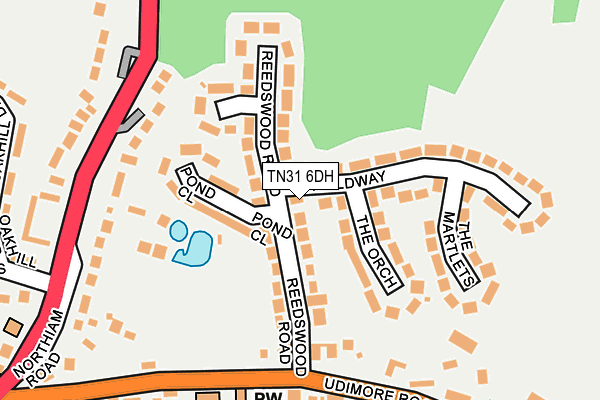 TN31 6DH map - OS OpenMap – Local (Ordnance Survey) TN31 6DH map - OS OpenMap – Local (Ordnance Survey)