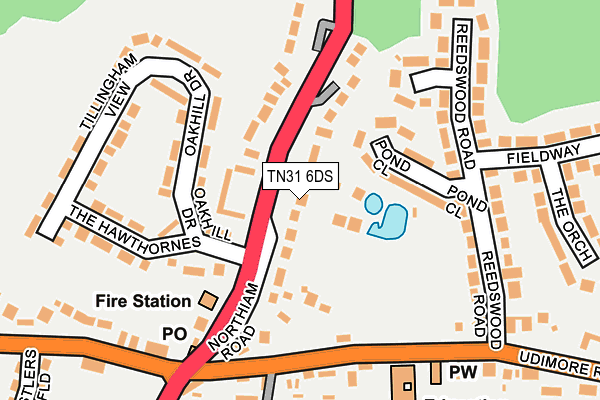 TN31 6DS map - OS OpenMap – Local (Ordnance Survey) TN31 6DS map - OS OpenMap – Local (Ordnance Survey)